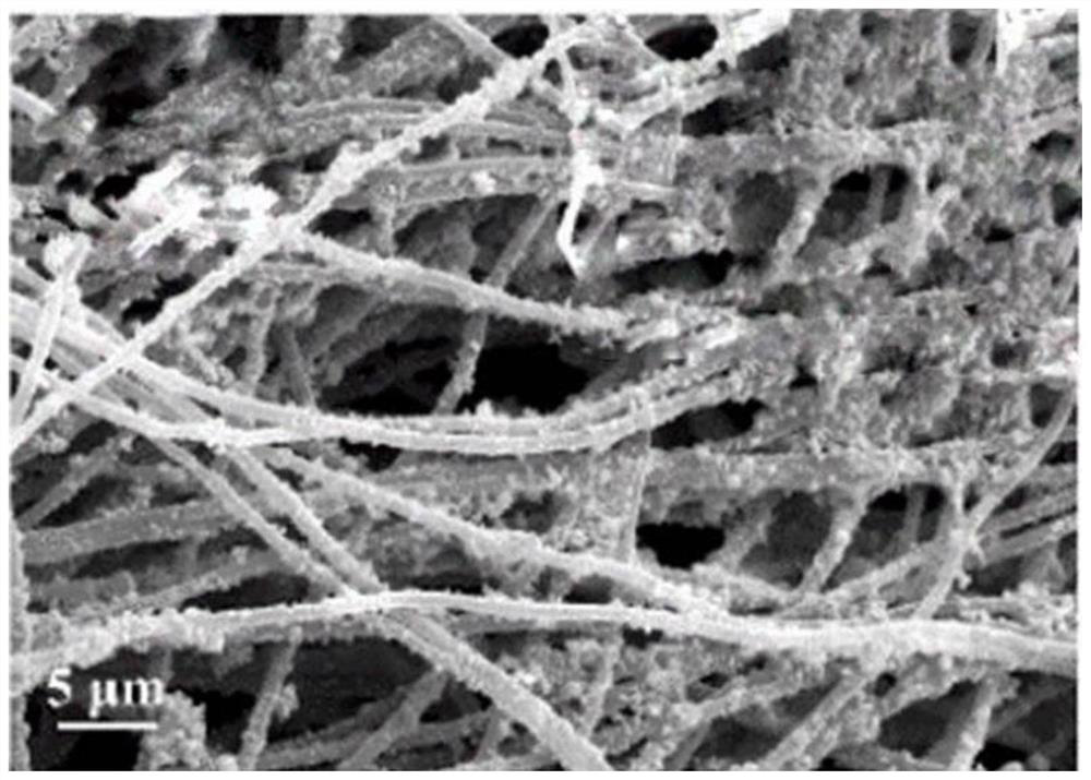 Porous film-protected nano-material solid-phase micro-extraction device and application thereof