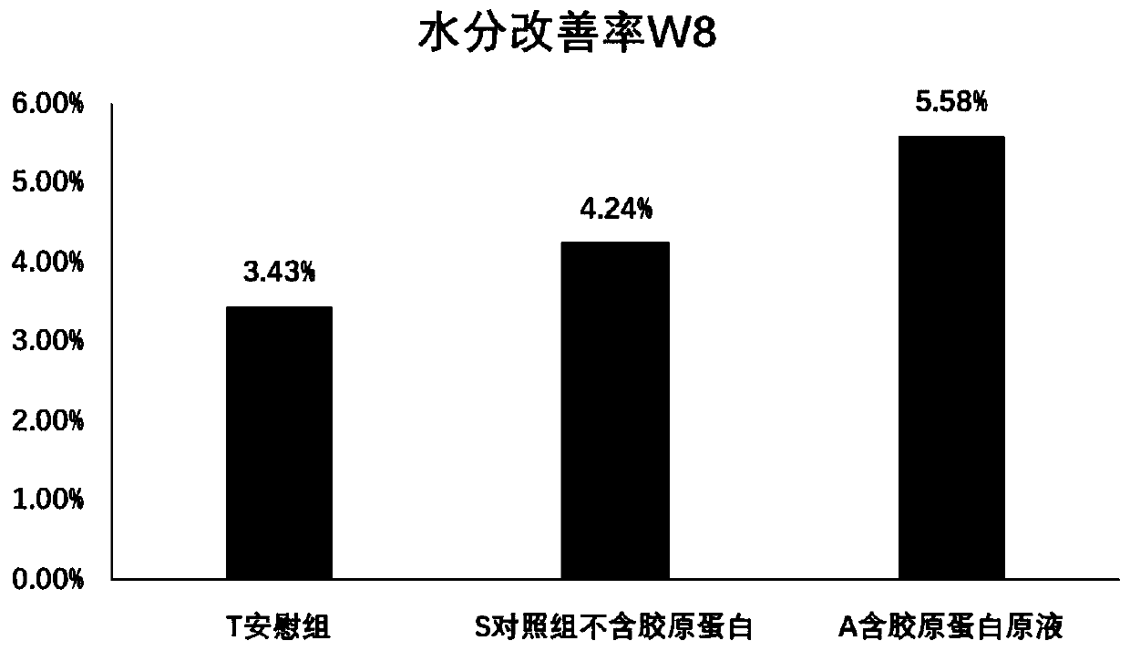 Wrinkle-removing essence containing recombinant collagen