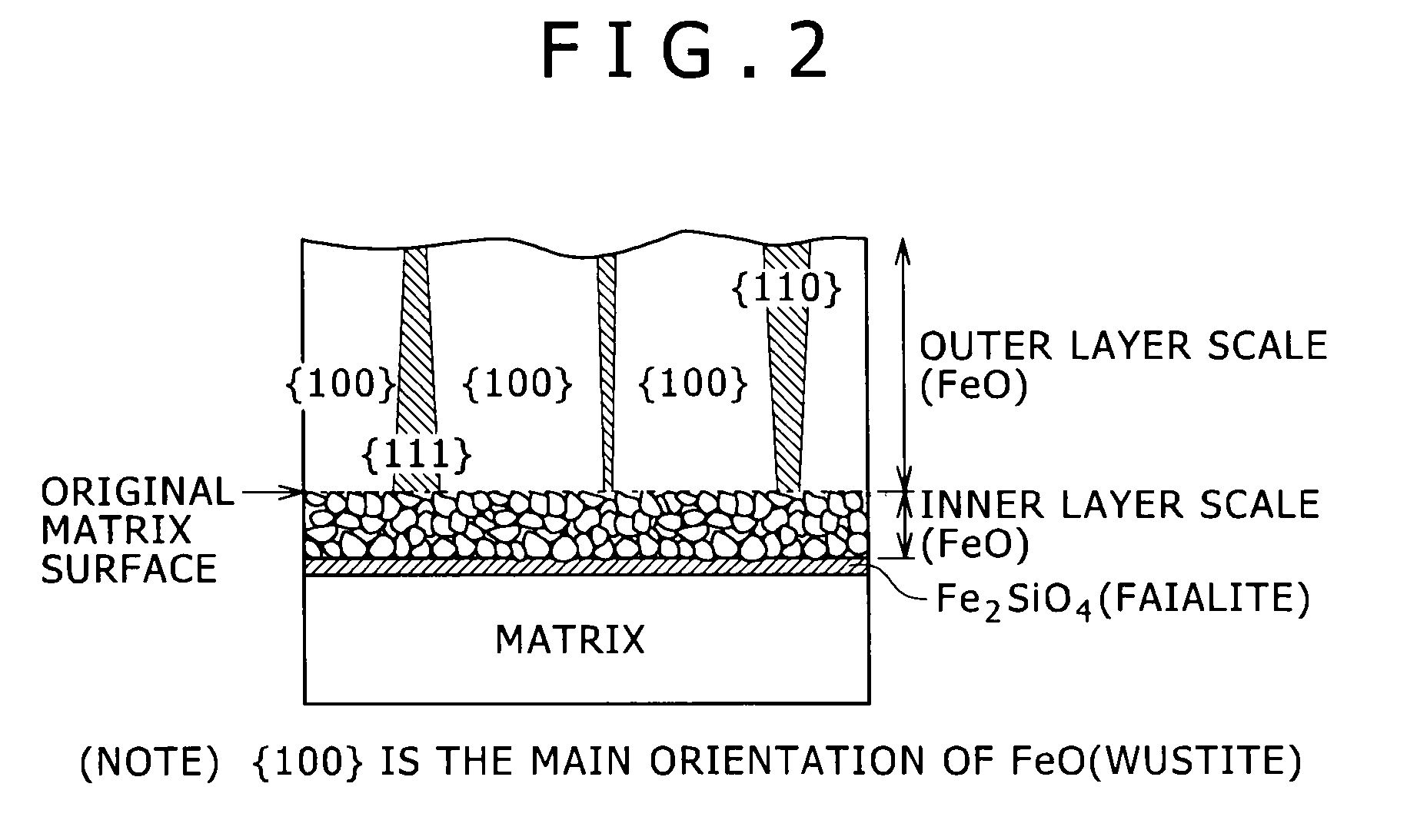 Steel wire rod