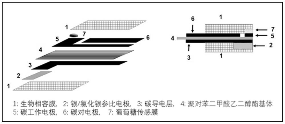 Glucose biosensor