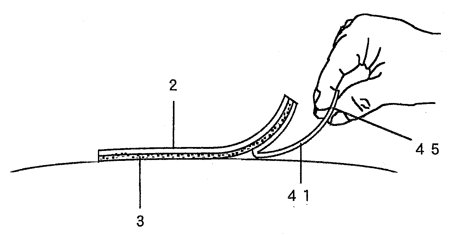 Adhesive Patch and Production Method Thereof