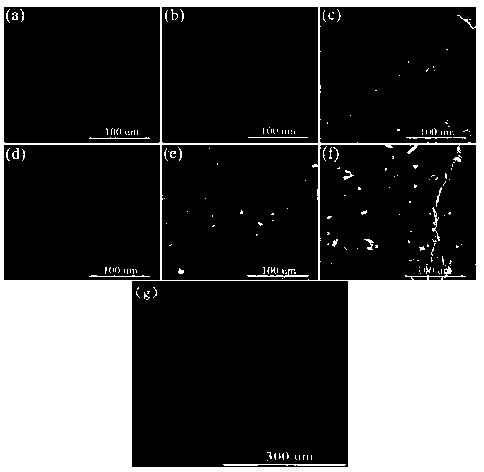 Polyether-ether-ketone composite material and preparation method and application thereof