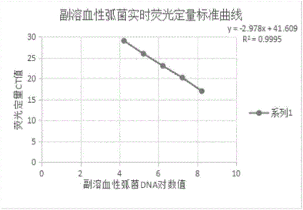 Primer for real-time fluorescent quantitative PCR rapid detection of vibrio parahaemolyticus toxR gene of marine product and kit of primer