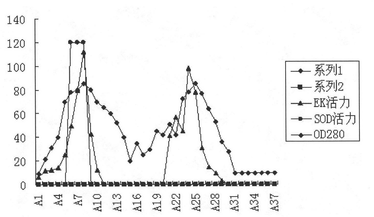 Superposition type fixed bed phase-conversion focusing chromatographic column and separation method