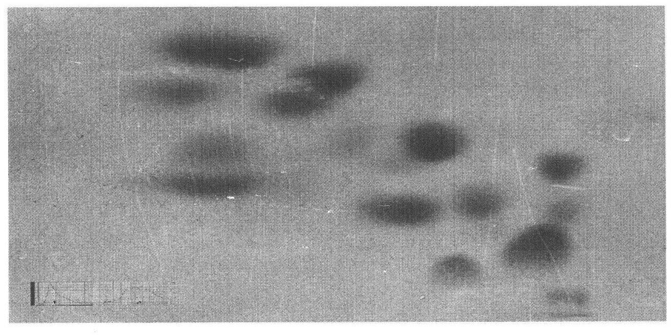 Superposition type fixed bed phase-conversion focusing chromatographic column and separation method