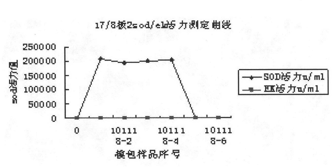 Superposition type fixed bed phase-conversion focusing chromatographic column and separation method