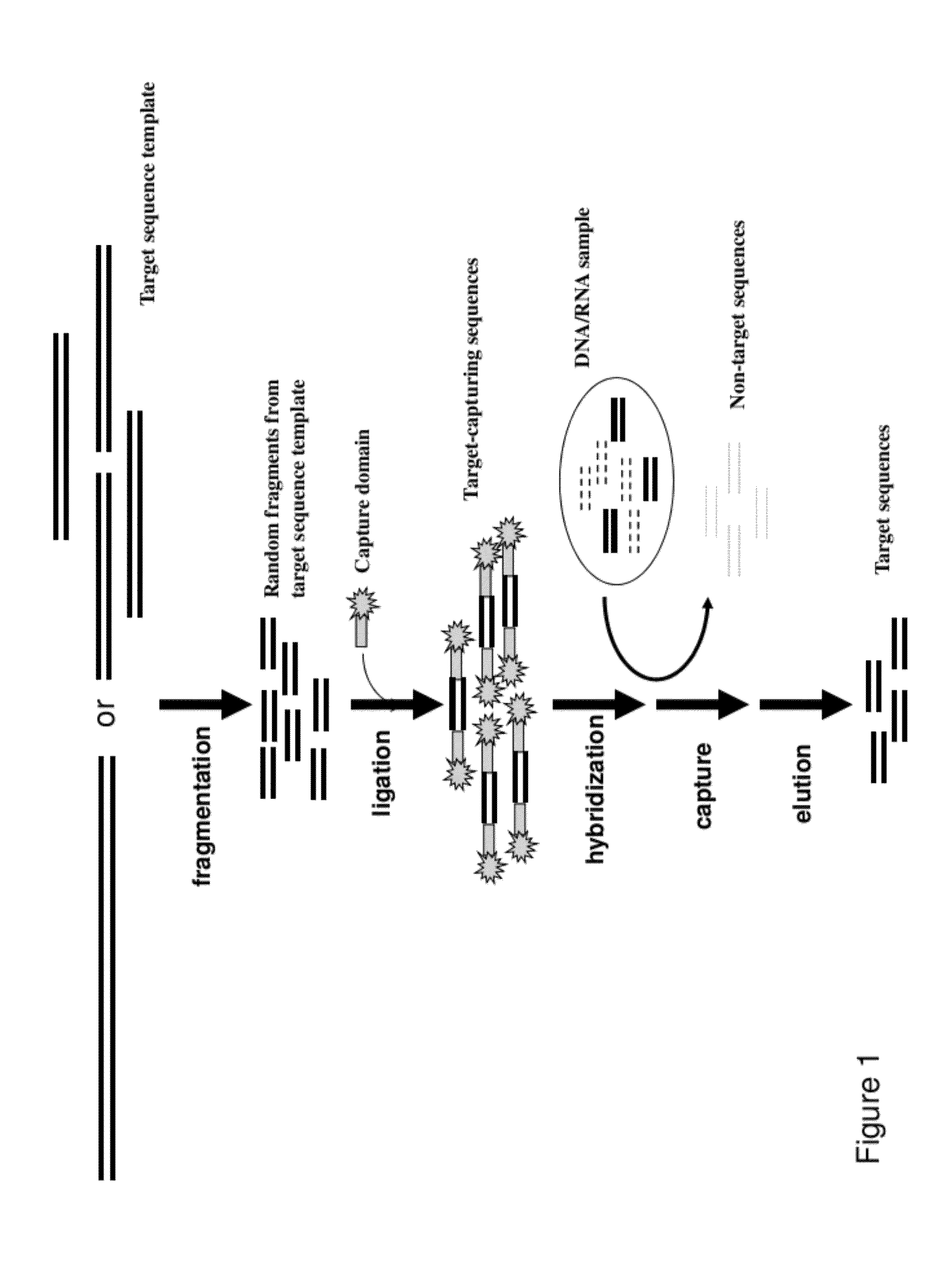 Methods, Compositions, and Kits for Making Targeted Nucleic Acid Libraries