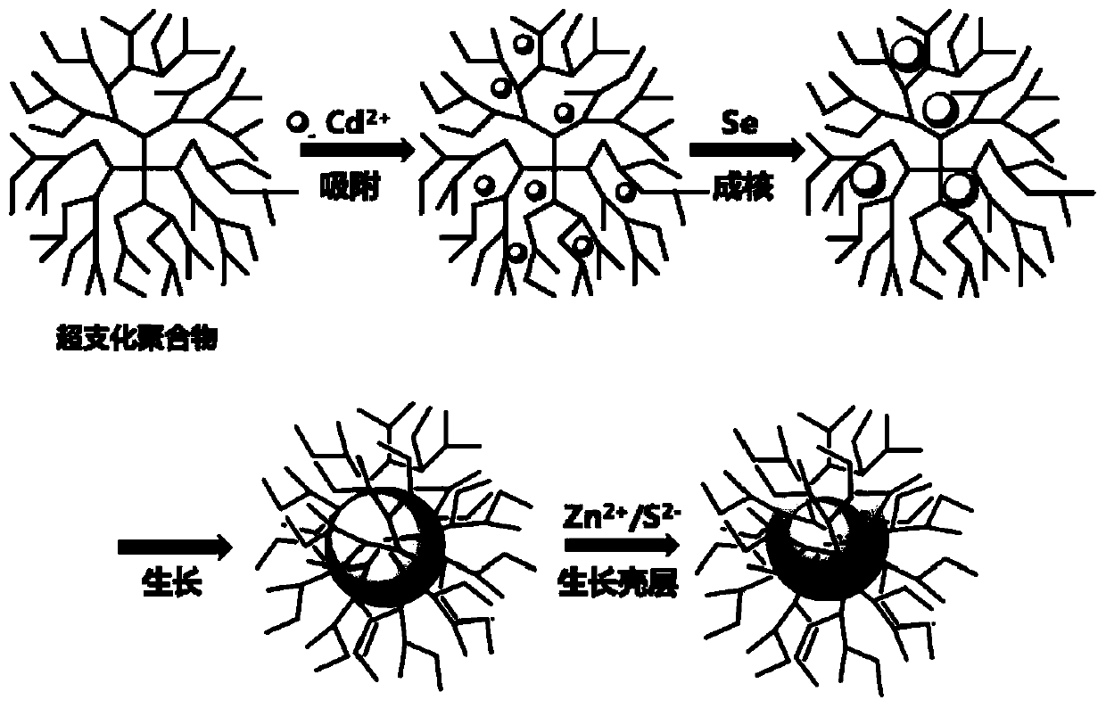 Method for preparing quantum dots from hyperbranched polymer