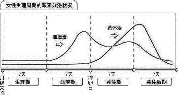 Traditional Chinese medicine for treating gynecological disease according to physiologic periodic change of female