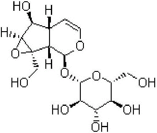 Application of catalpol as non-enzymatic glycosylation end product inhibitor