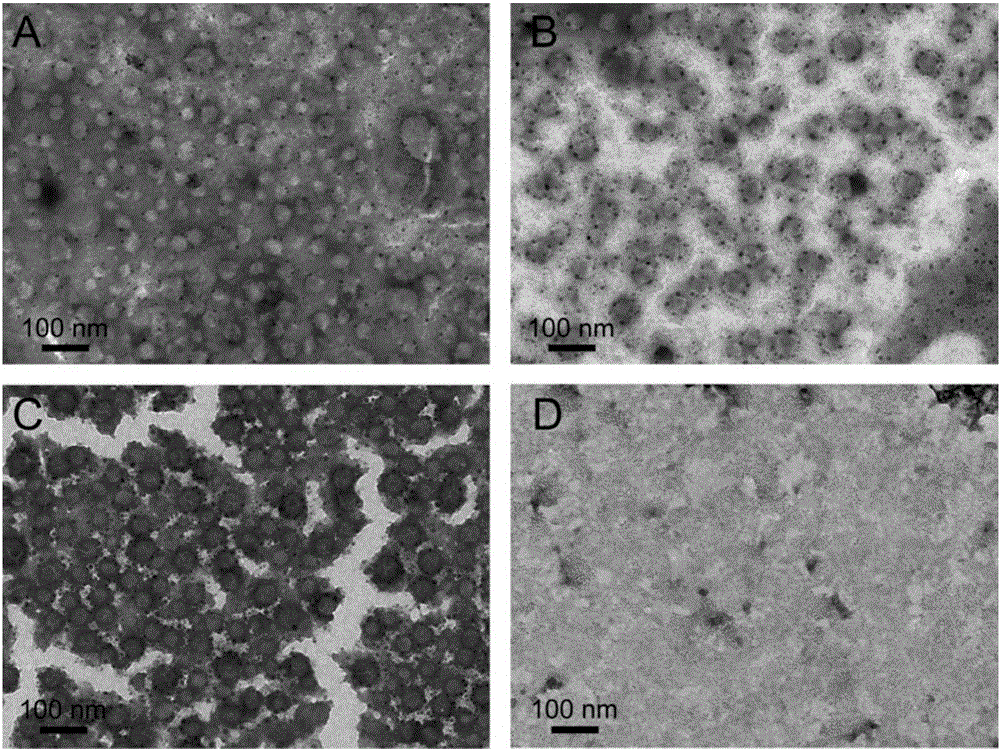 Hypoxia response lipidosome drug carrier as well as preparation method and application thereof