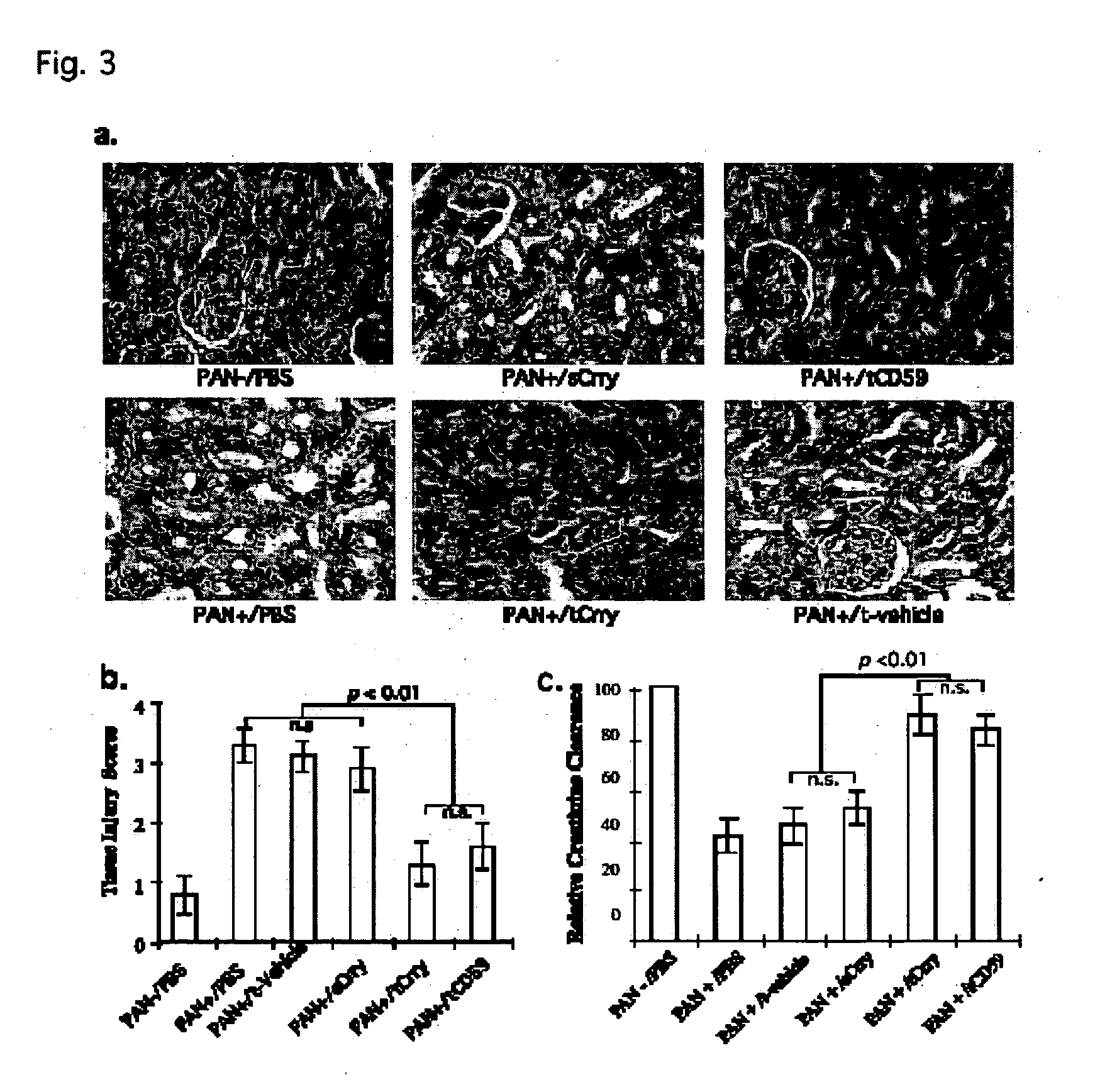 Tissue targeted complement modulators