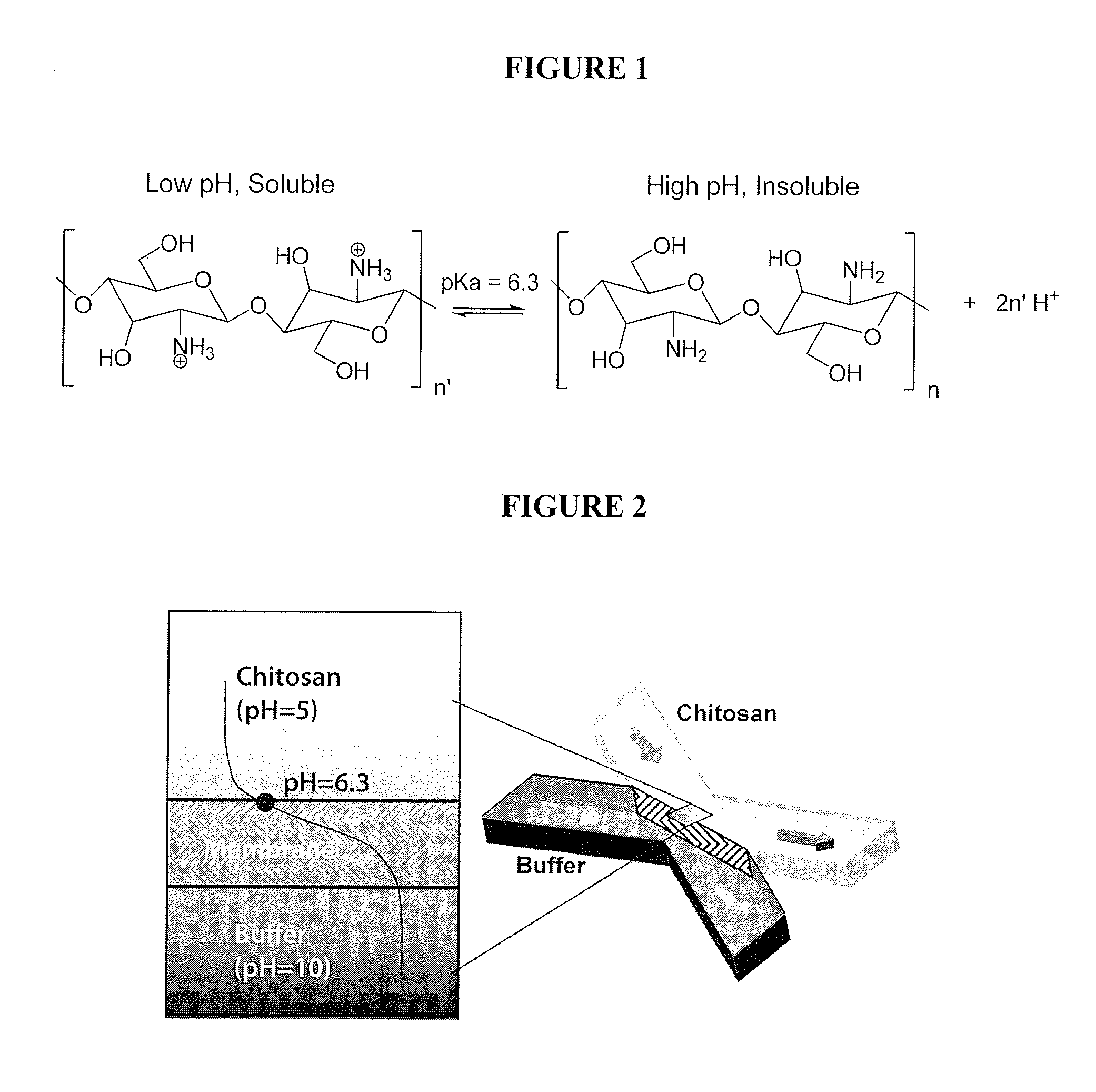 Active Microfluidic Membranes