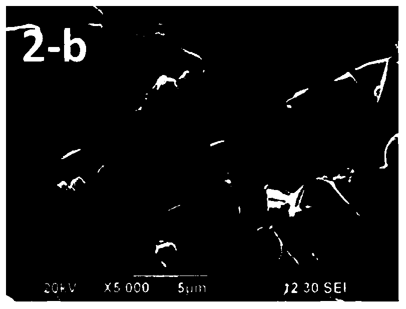 Positive electrode material of lithium ion battery as well as preparation method and application of positive electrode material