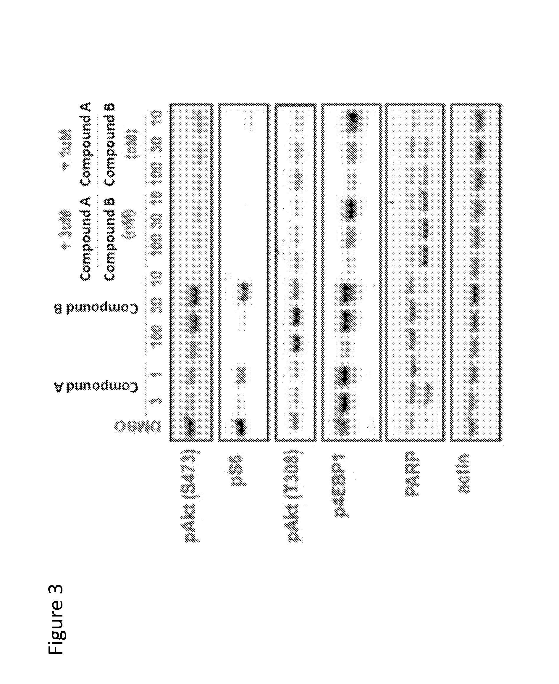 Combination of Kinase Inhibitors and Uses Thereof