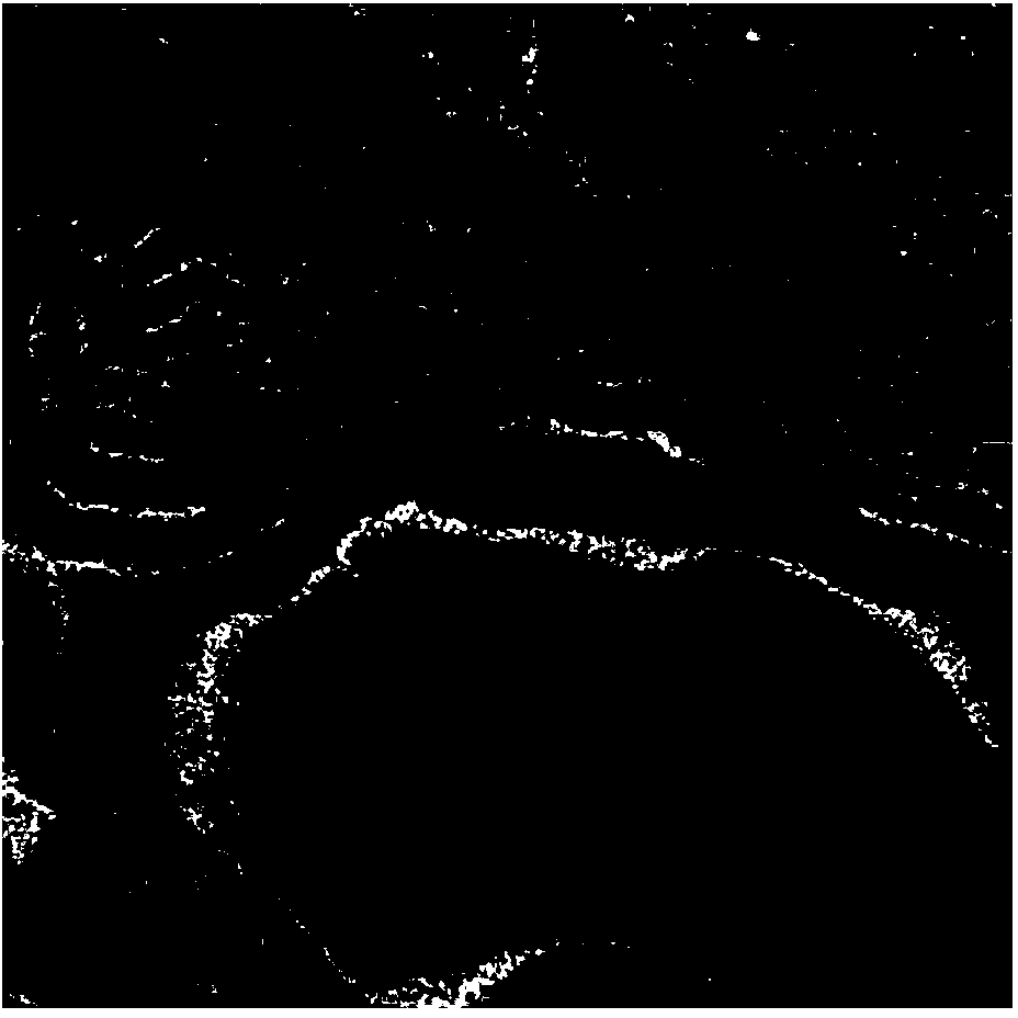 Ground surface deformation high-resolution interferometric synthetic aperture radar (InSAR) monitoring method along high speed railway