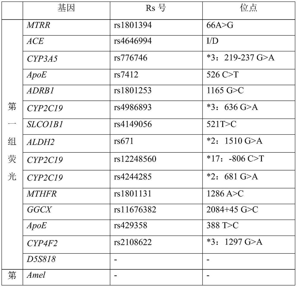 Cardiovascular disease personalized drug related gene polymorphism detection system and kit