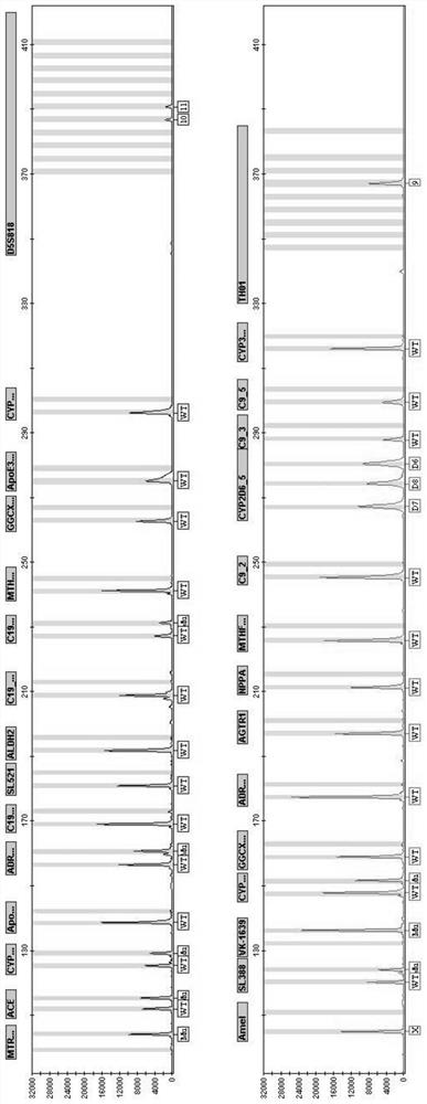 Cardiovascular disease personalized drug related gene polymorphism detection system and kit