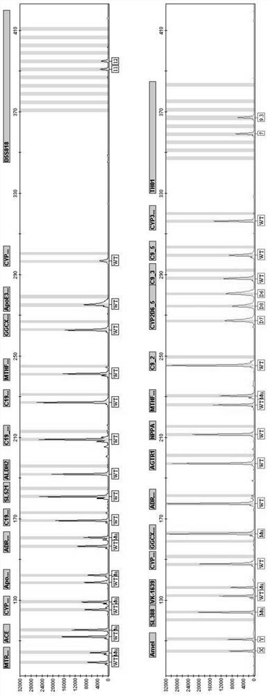 Cardiovascular disease personalized drug related gene polymorphism detection system and kit