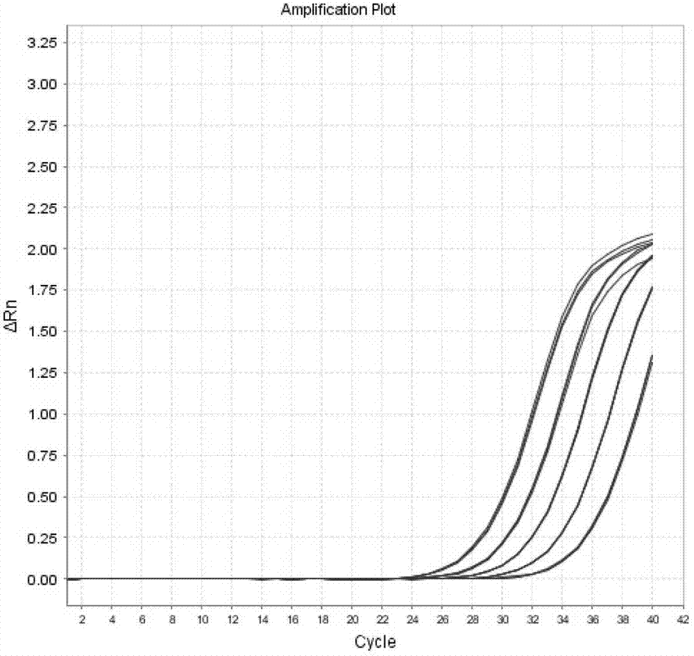 Telomere length detection method based on fluorescent quantitative PCR