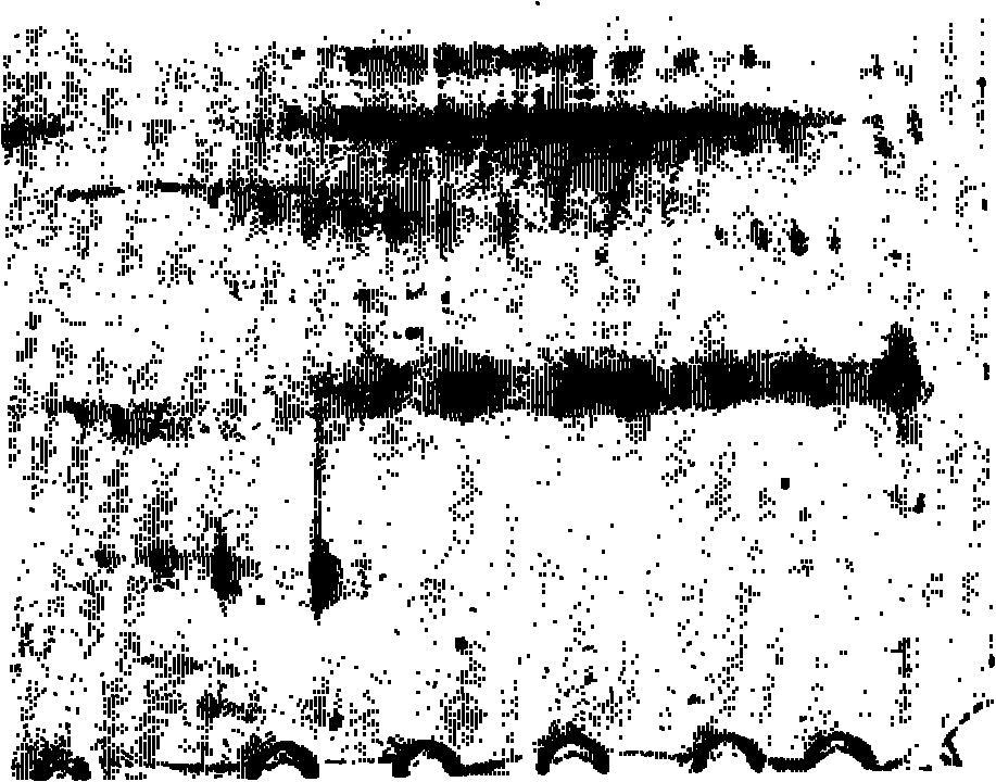 Method for preparing saliva protein sample