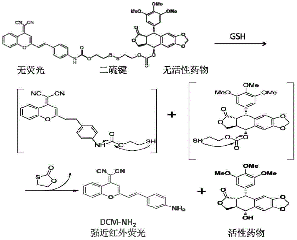 Prodrug of compound podophyllotoxin PPT with anti-tumour activity and preparation method thereof