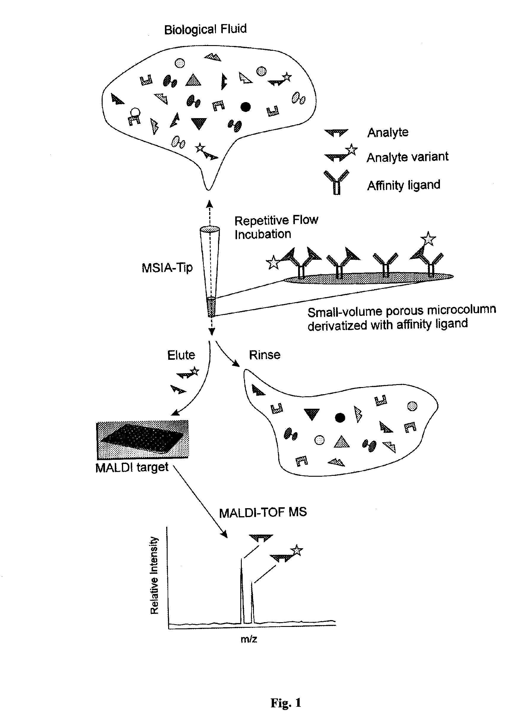 Method and apparatus for mass spectrometric immunoassay analysis of specific biological fluid proteins