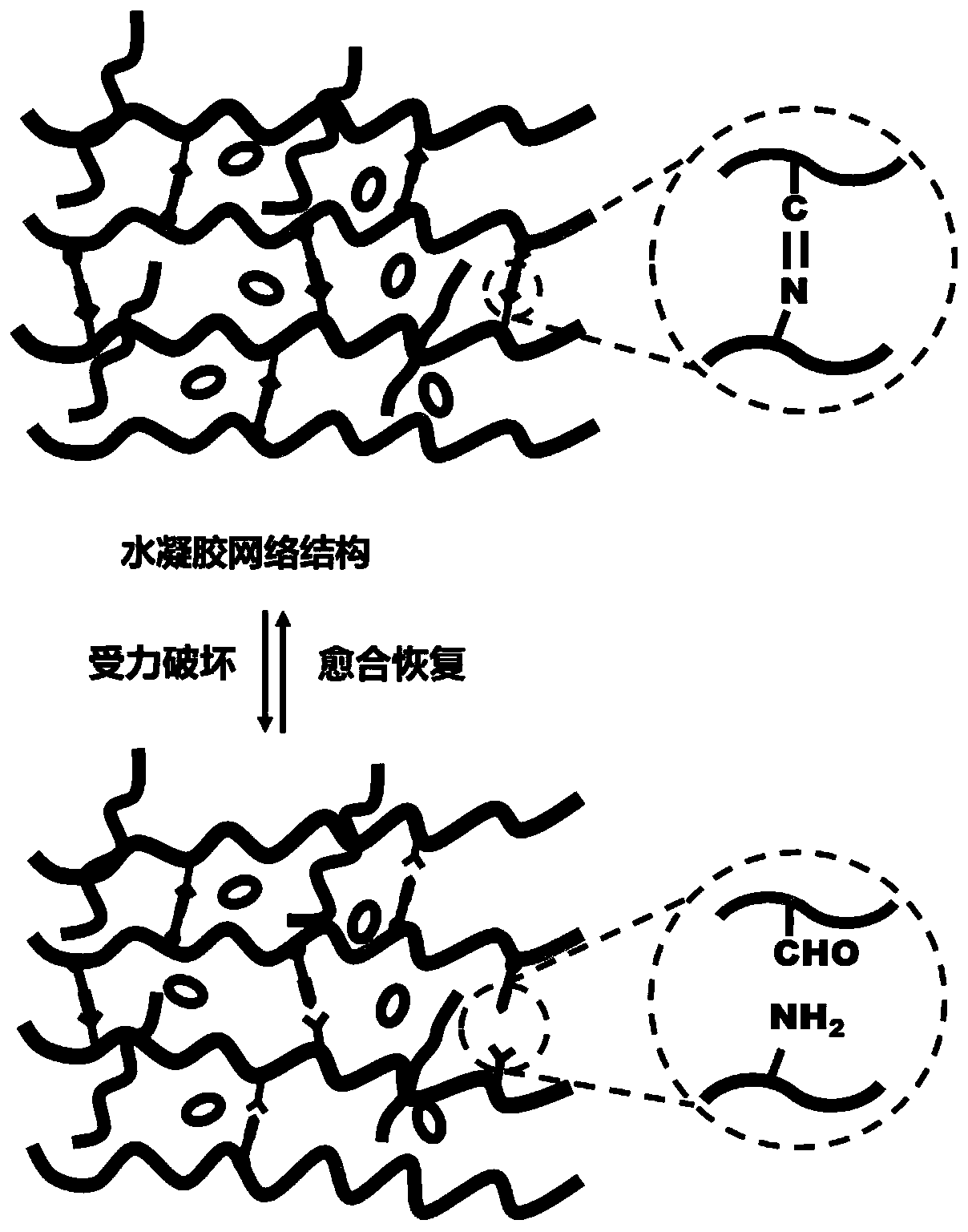 Self-healing hydrogel entrapping exosome as well as preparation method and application thereof