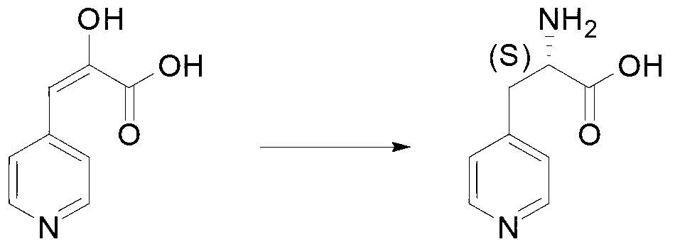 Synthetic method of L-heterocyclic amino acid and pharmaceutical composition with L-heterocyclic amino acid