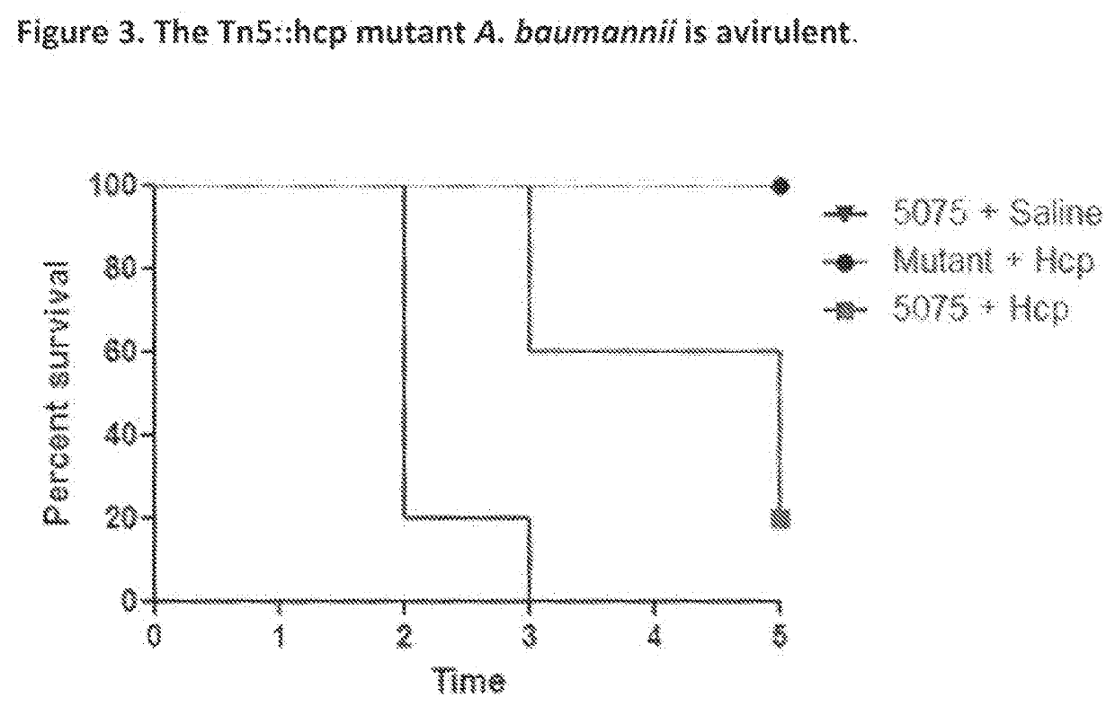 Monoclonal antibodies for treatment of microbial infections