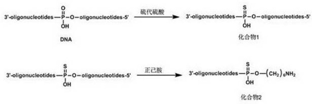 A kind of medicine for treating cancer, its synthesis method and application