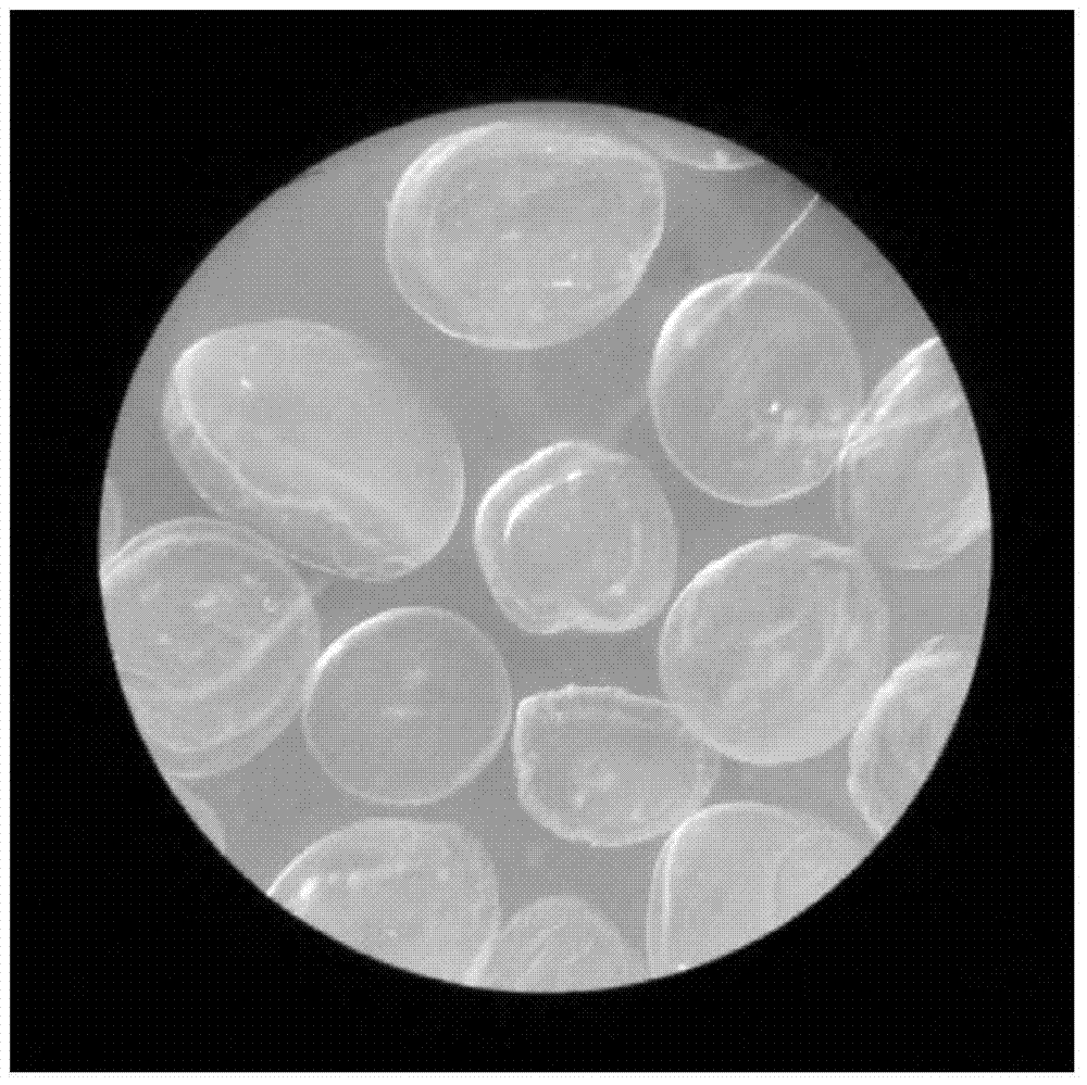 Embolic material, and preparation method and use thereof