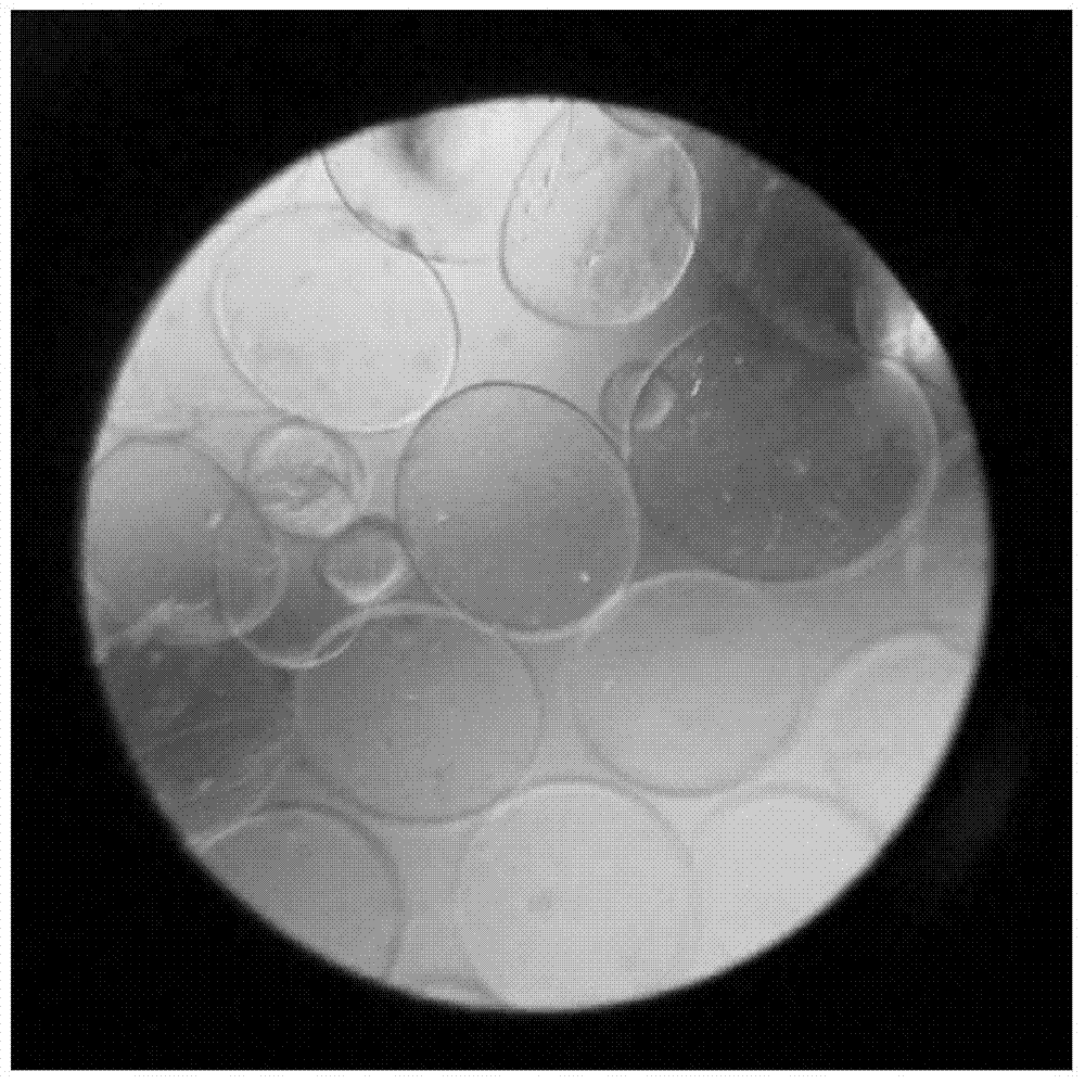 Embolic material, and preparation method and use thereof