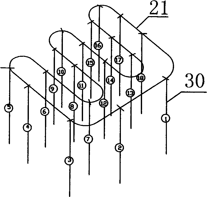 Tridimensional planting system for plants