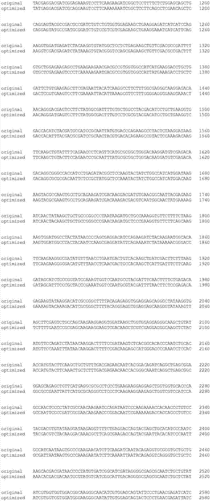 PL-LbCpf1-RVR gene for recognizing specific sites in rice gene targeting and application thereof