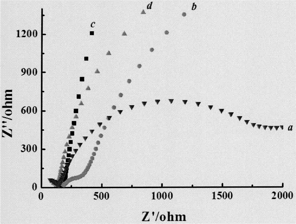 Preparation method of multi-wall carbon nanotube/poly L-histidine modified glass carbon electrode and application thereof in determining hydroquinone