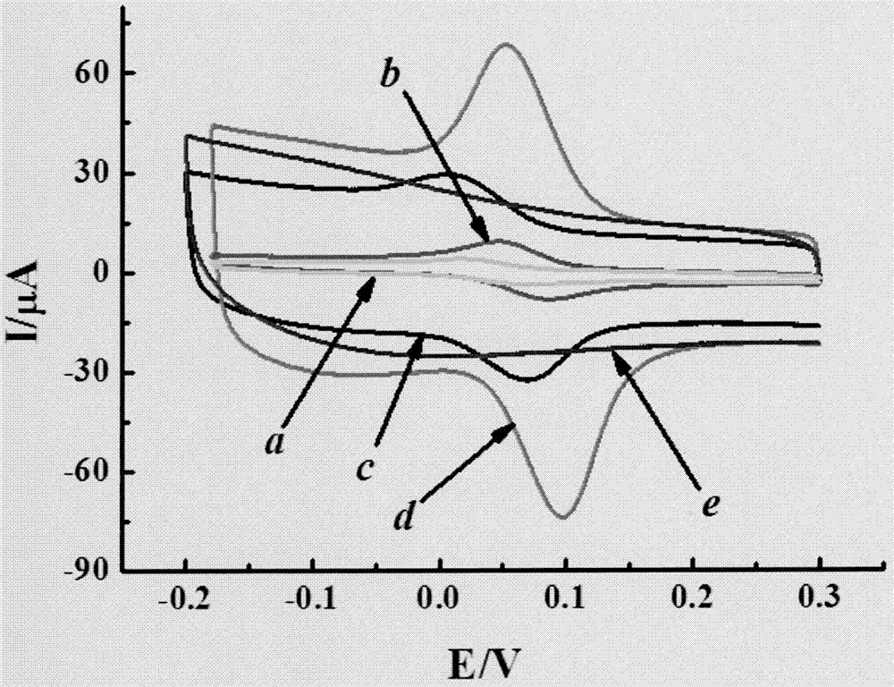 Preparation method of multi-wall carbon nanotube/poly L-histidine modified glass carbon electrode and application thereof in determining hydroquinone