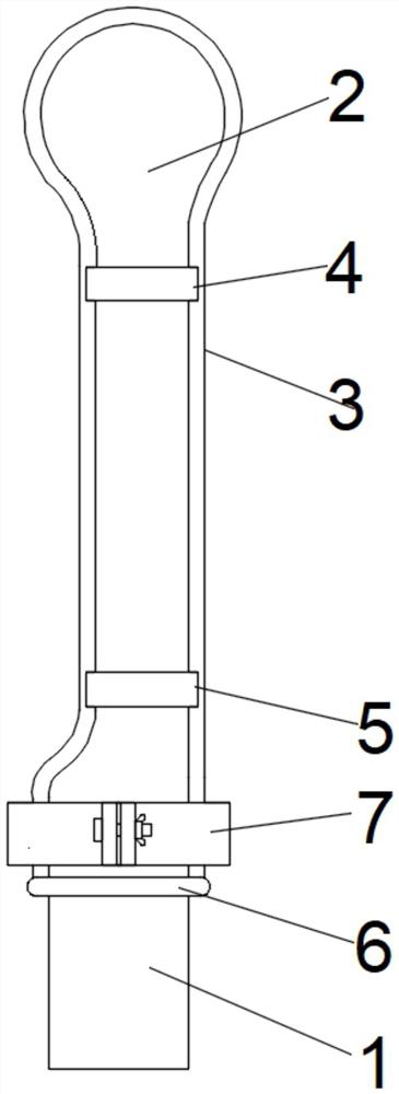 Transvaginal colour ultrasound probe protection device