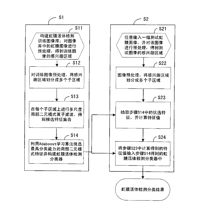 In vivo iris detection method