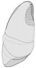 Method for making living tissues and organs