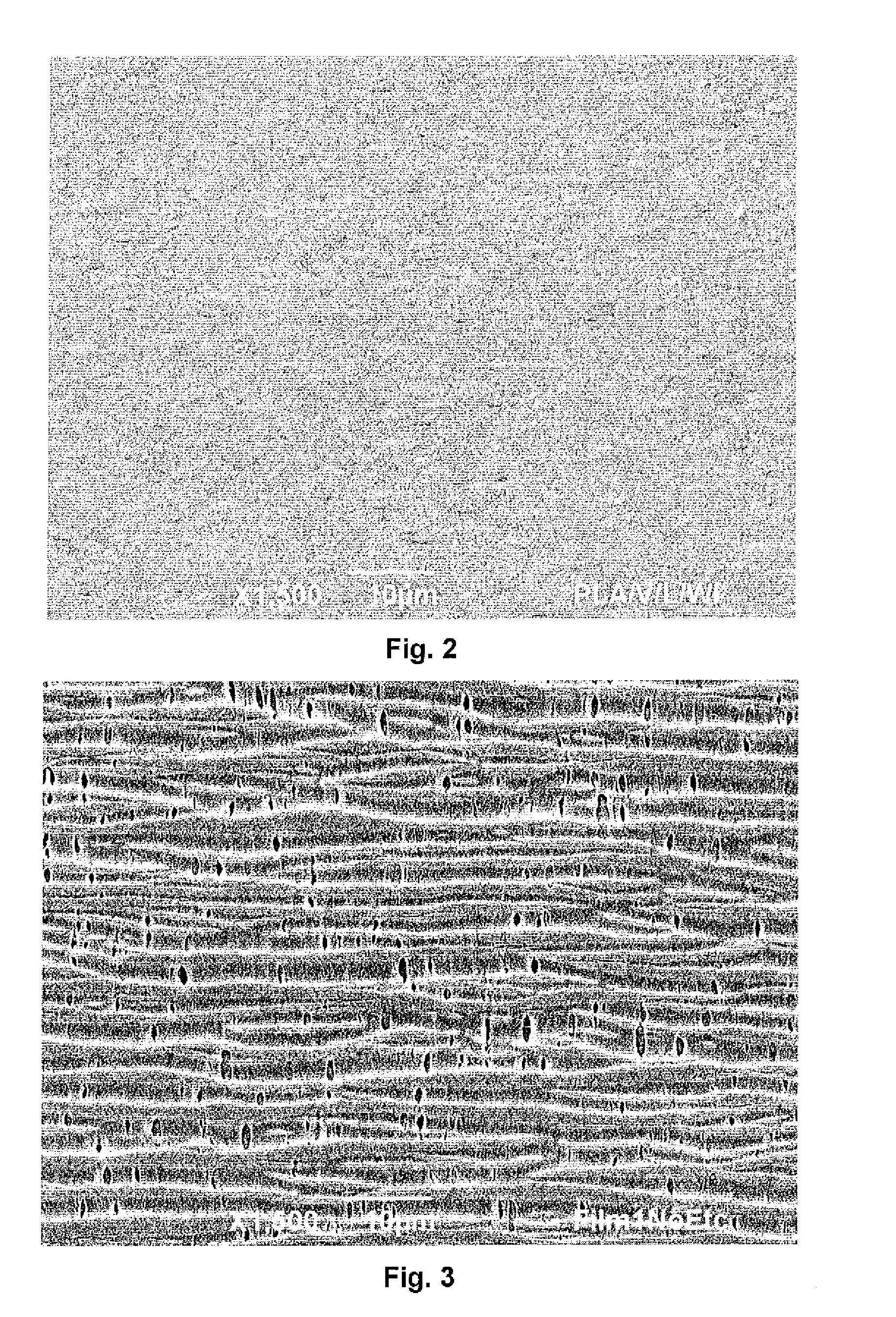 Breathable Film Formed from a Renewable Polyester