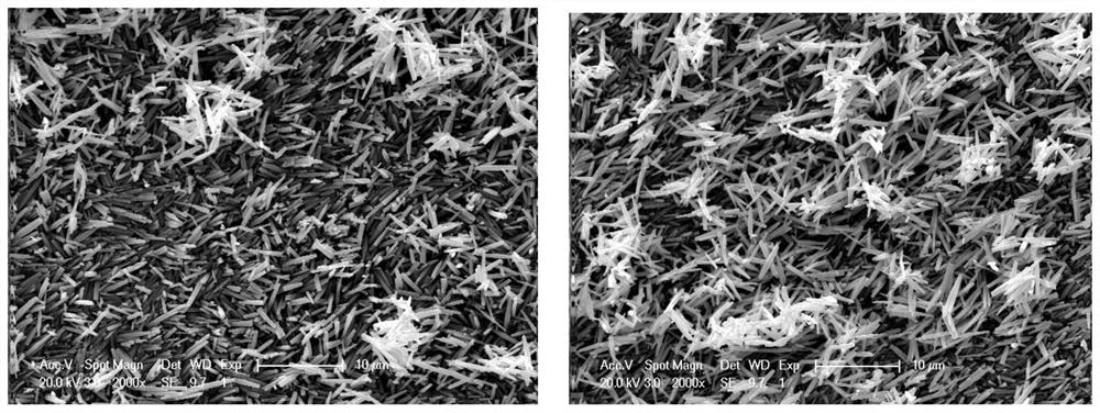 Preparation method of zno-ga polymer scintillation conversion screen