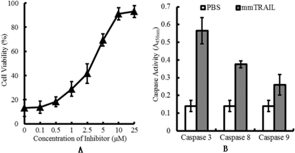 Recombinant TRAIL protein and preparation method and application thereof