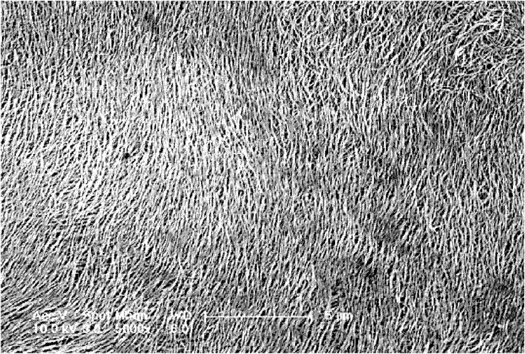 Preparation method of Raman scattering substrate