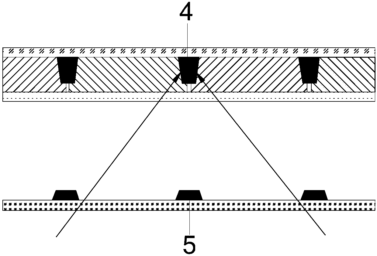 Display device and color film substrate thereof