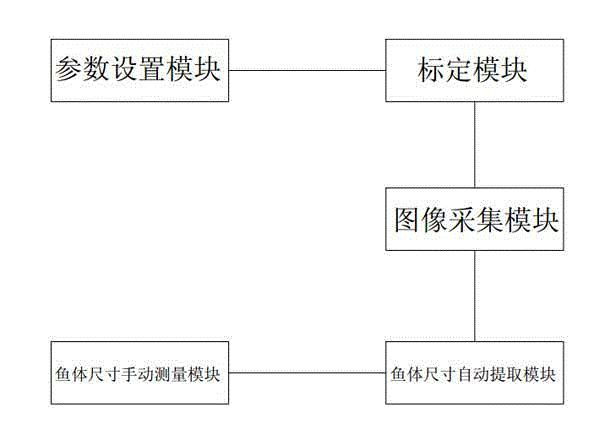 Automatic measuring device and method for fish type morphological parameters