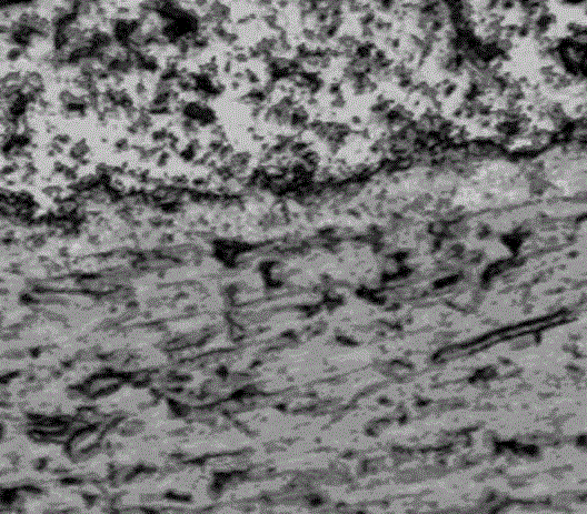 Tantalum surface carbonization modification method and product prepared through tantalum surface carbonization modification method