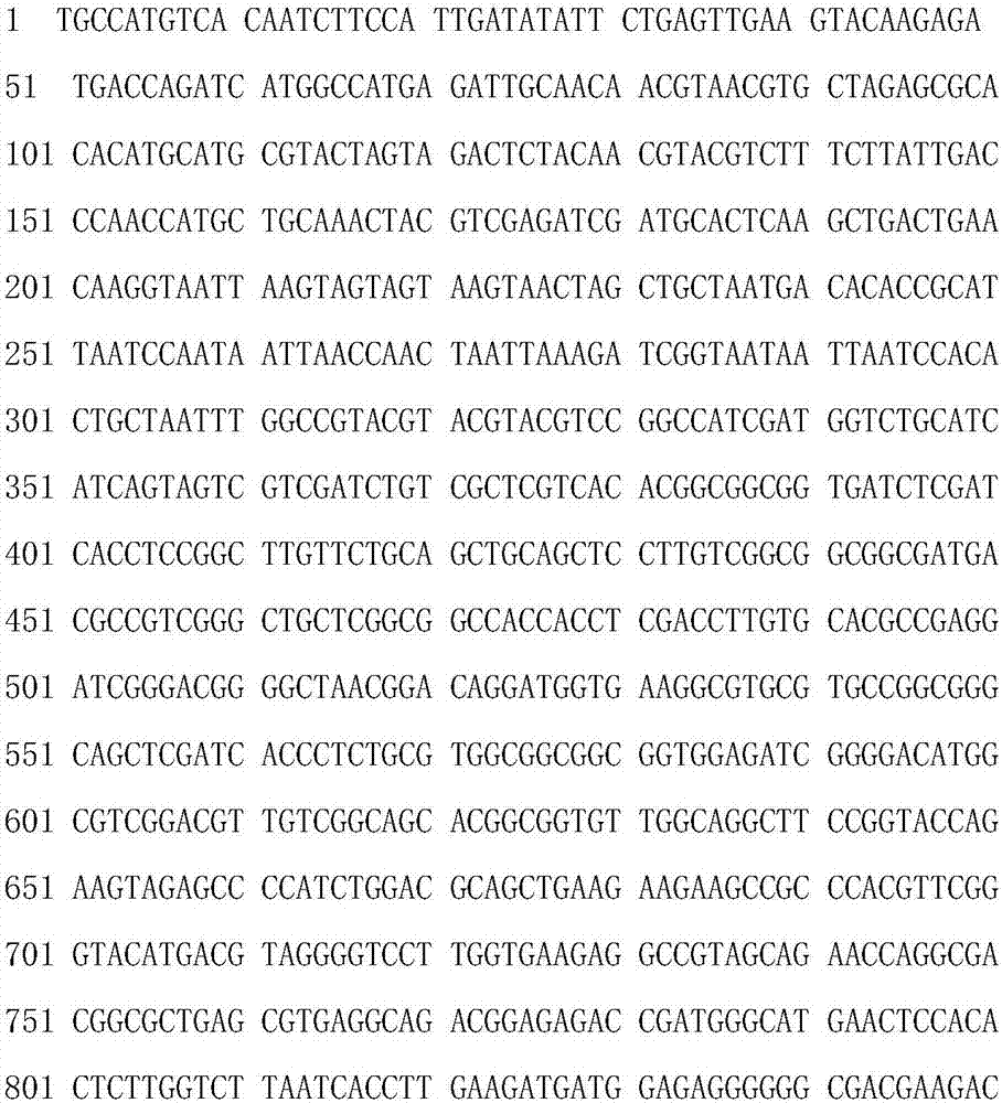 Resistant protein and coding gene of bacterial blight