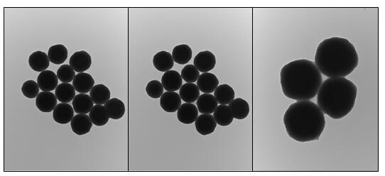 Magnetic nanoparticle for removing perfluorinated compounds, and preparation method thereof