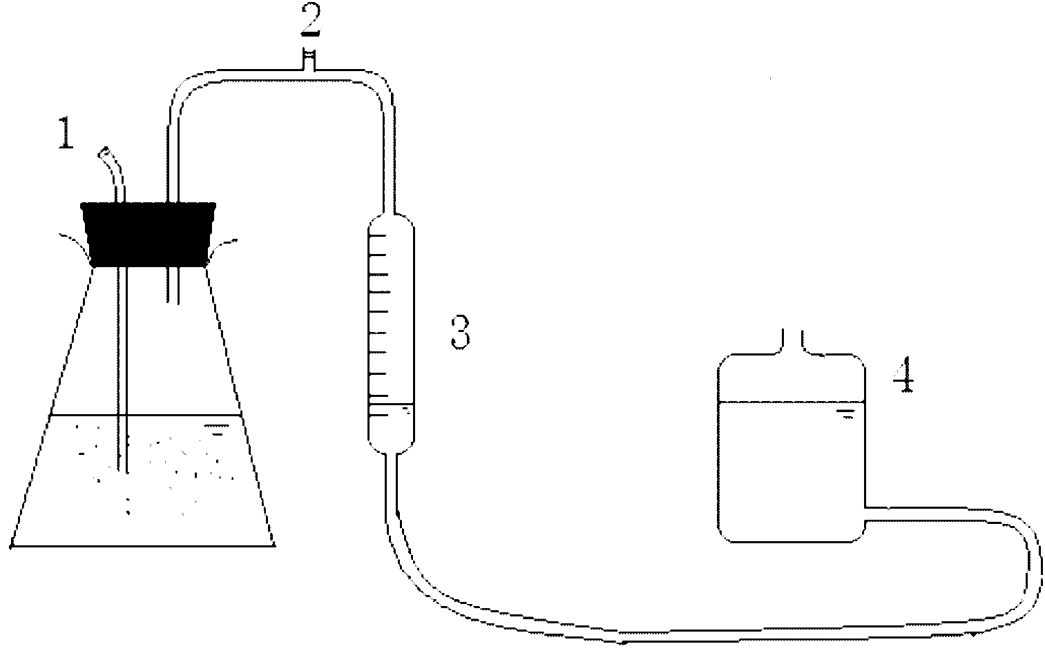 Method for preparing hydrogen by fermentation through using special anaerobic clostridium pasteurianum